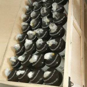 Silver Mercury – Ultra High Purity 99.99% | Certified Bulk Supplier