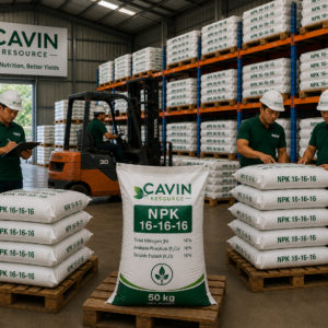 NPK 16-16-16 compound fertilizer