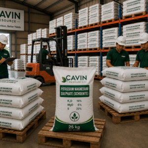 Potassium magnesium sulphate (schoenite) fertilizer
